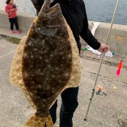 サビキでヒラメ